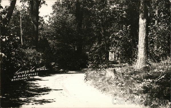 Through The Woods Waldenwoods Hartland Michigan
