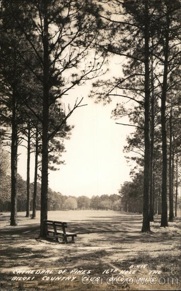 The Biloxi Country Club - Cathedral of Pines, 16th Hole Mississippi