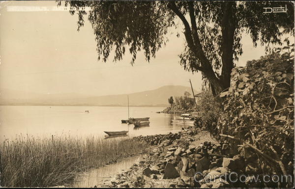 Path next to the water in Mexico City