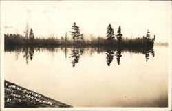 Spring Morning - Land O'Lakes Postcard