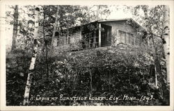 Cabin at Burntside Lodge Postcard