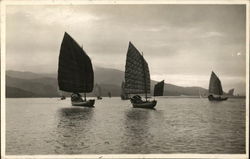 Chinese Sailboats (Junk) in the water - 1937 Postcard