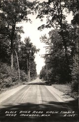 Black River Road, Virgin Timber Postcard