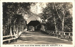 Glen Ellis River Bridge Postcard