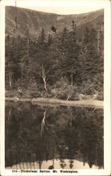 Tuckerman Ravine, Mt. Washington Postcard
