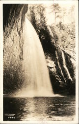 Foster Falls Postcard