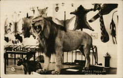 Morse Museum Postcard