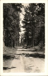 The Old Trail, Post Lake Elcho, WI Postcard Postcard Postcard