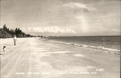 Hotel Pelican Beach Postcard