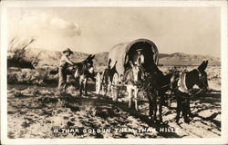 "Is Thar Gold in them Thar Hills" Covered Wagon led by Mules Postcard