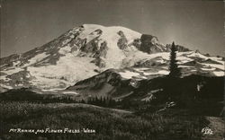 Mount Rainier and Flower Fields Washington Postcard Postcard Postcard