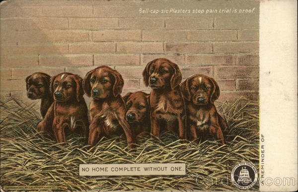 Bell-Cap-Sic Plasters Boston Massachusetts Advertising