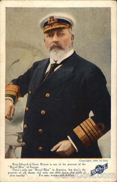 Royal Blue Shoes by Selz - King Edward Chicago Illinois