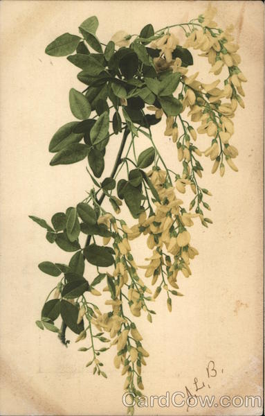 Gold Medal Flour Advertising