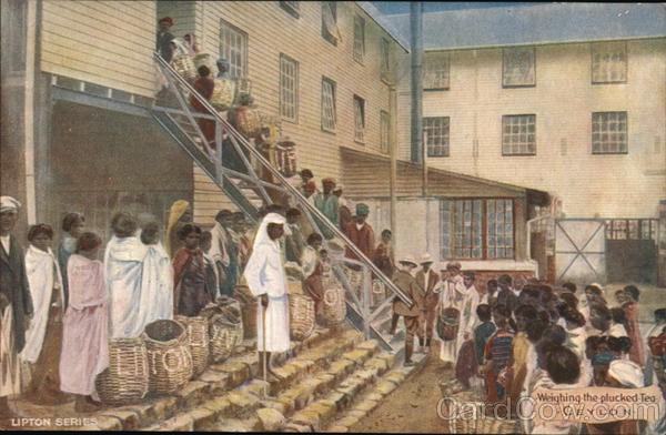 Lipton Tea United Kingdom Advertising