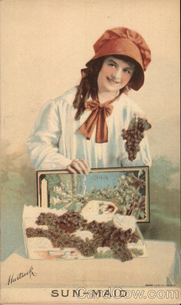 Sun Maid Raisins Fresno California Advertising