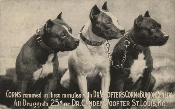 Dr. Woofter's Corn & Bunion Remedy Pitbulls St. Louis Missouri