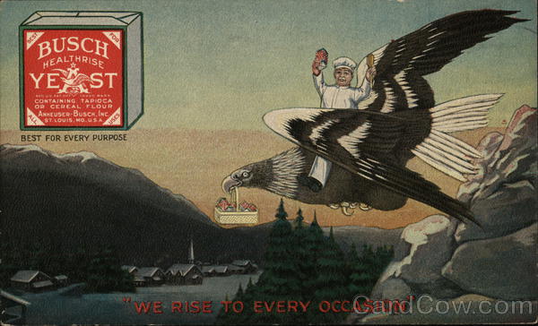 Busch Healthrise Yeast by Annheuser-Busch St. Louis Missouri