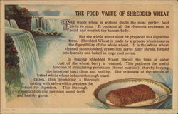 Shredded Wheat Niagara Falls, NY Advertising Postcard Postcard Postcard