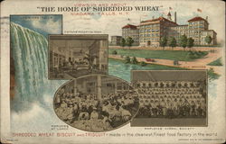 Shredded Wheat Niagara Falls, NY Advertising Postcard Postcard Postcard