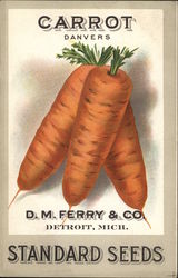 D.M. Ferry & Company Postcard