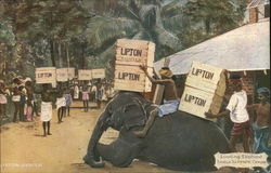 Stock #564545 Thumbnail