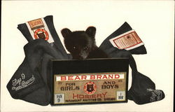 Bear Brand Hosiery - Paramount Knitting Co. Postcard