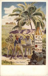 Bacardi Rum Postcard