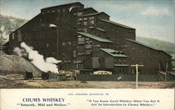 Chums Whiskey Scranton, PA Advertising Postcard Postcard Postcard