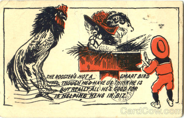 The Rooster Chickens