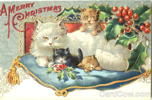 A Merry Christmas Cats