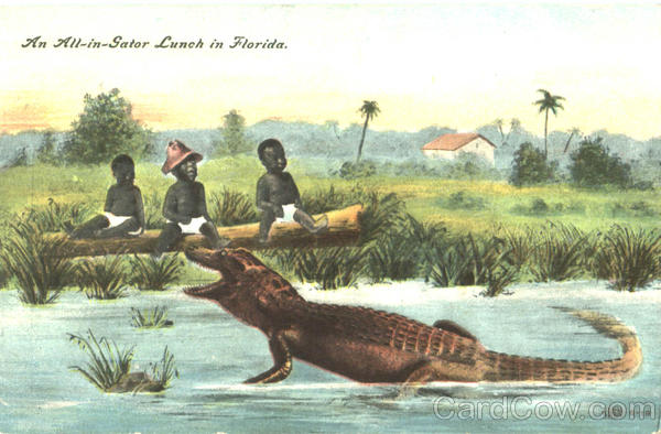 An All-In-Gator Lunch In Florida Black Americana