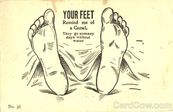 Your Feet Remind me of a Camel Comic, Funny
