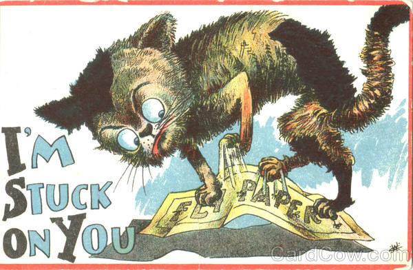 I'M Stuck On You Cats