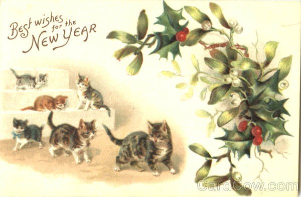Best Wishes For The New Year Cats