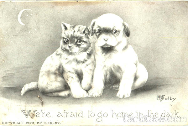 We're Afraid To Go Home In The Dark Dogs