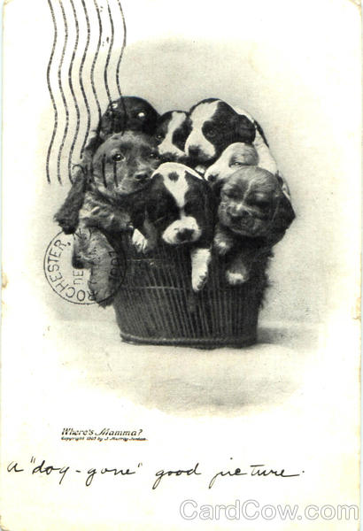 Basket of Puppies Dogs