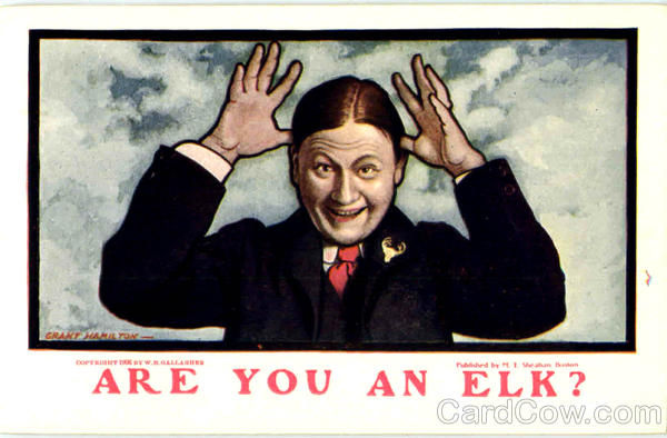 Are You An Elk? Elks Club