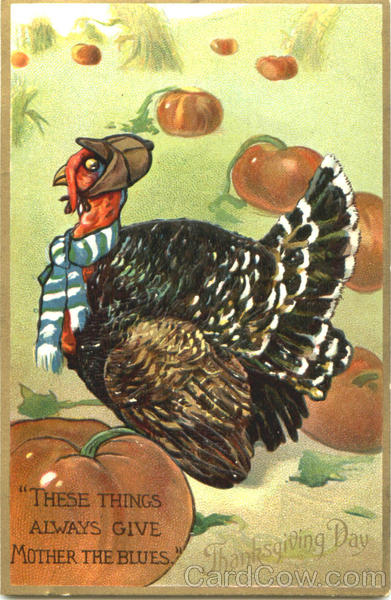 Thanksgiving Day Turkeys