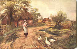 The Farmers Daughter Postcard