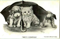 Two's Company Cats Postcard Postcard