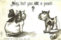 Stock #41043 Thumbnail