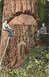 Logging Postcard