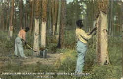 Stock #41321 Thumbnail