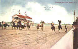 Kenilworth Race Track Buffalo, NY Postcard Postcard