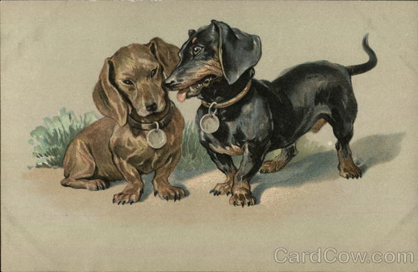 Painting of Dachshund puppies Dachshunds