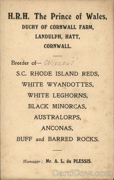 H.R.H. The Prince of Wales, Breeder of Chickens Royalty