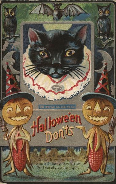 Halloween don'ts - black cat in a collar with two jack o lanterns, oils, moons and bats