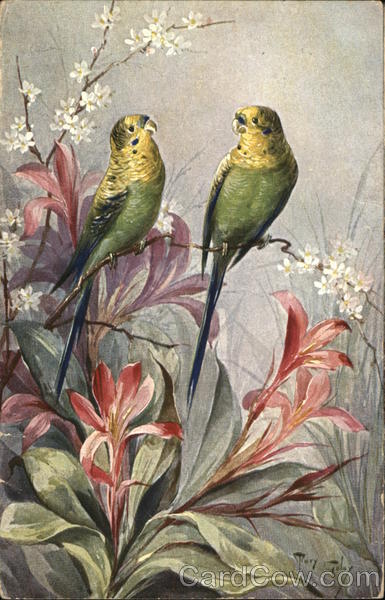 Two Parakeets Perched Atop Orange Lilies Tary Tolay