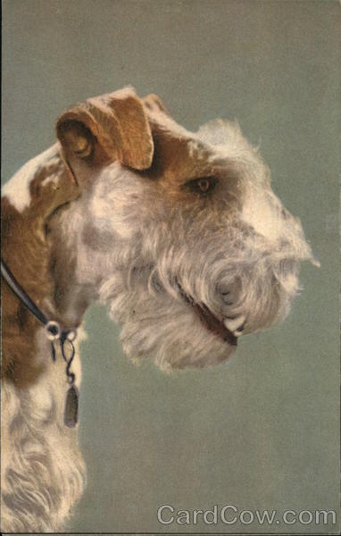 Profile of Dog's Head With White Muzzle and Brown Ears